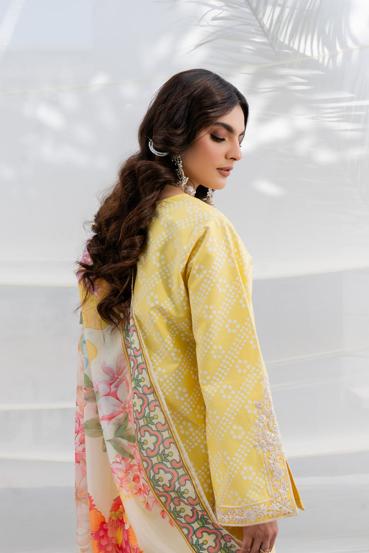 3 Piece - Embroidered Lawn Suit - MKV2-2